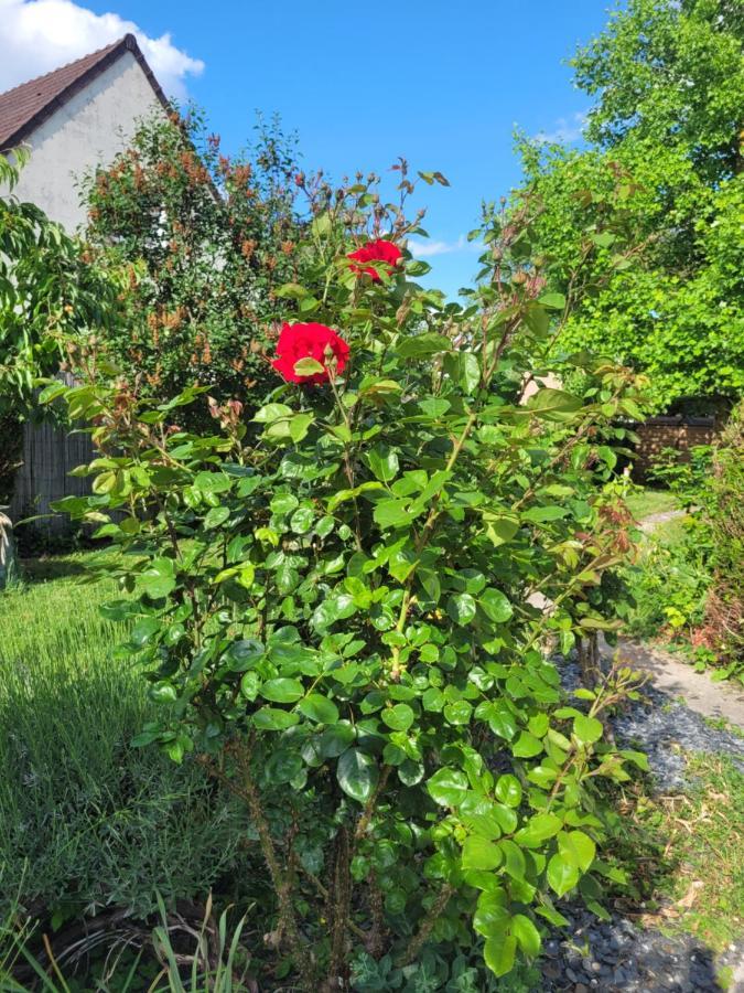 Cosy Room + Breakfast 20 Mn From Epernay Blancs-Coteaux Exterior photo